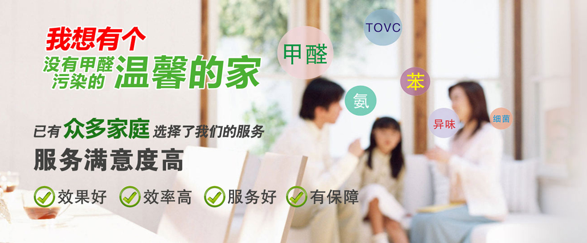 泰安除甲醛公司