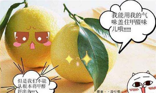 搬新房啦！泰安人用这些来除甲醛？