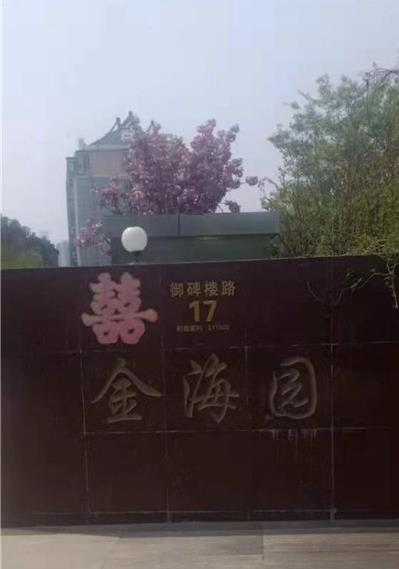 金海园甲醛治理